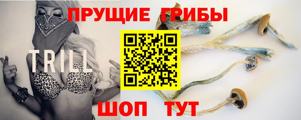 Псилоцибиновые грибы Psilocybe  Вход с VPN  Бугуруслан 